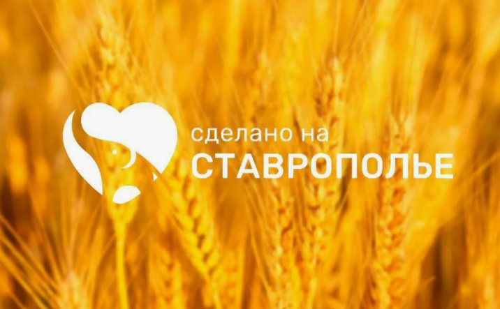 На Ставрополье заработала единая платформа для поддержки местных брендов «Сделано на Ставрополье».