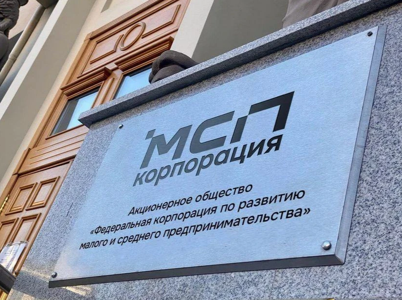С начала 2026 года в России появилось более 240 тысяч новых МСП.
