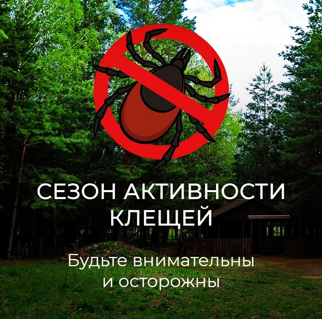 На Ставрополье сохраняется активность клещей.