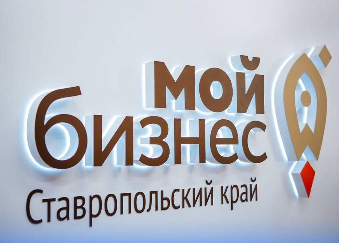 Свыше 6 млрд рублей кредитов сможет получить малый бизнес Северного Кавказа в 2025 году.
