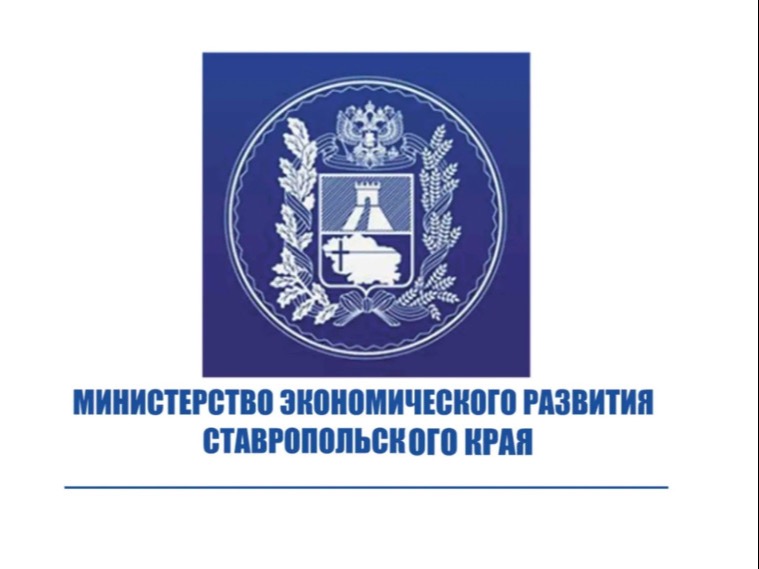 Предприниматели Лермонтова узнали о возможностях господдержки.